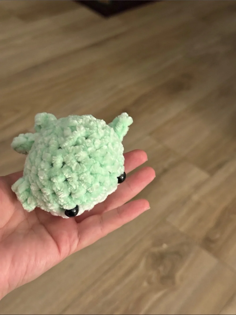 Handmade Plush Small Pet Toy - Mint Green Cozy Chew Plush